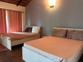 Paddy Creek Jungle Resort Coorg - 9