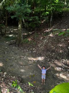 Deer Houses Cabuya - 4