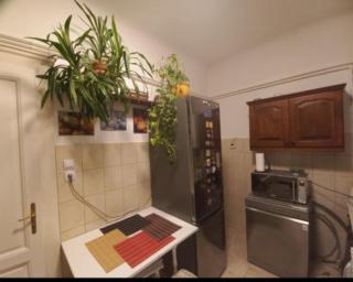 Margaret Bridge Best spot Apartment - 5