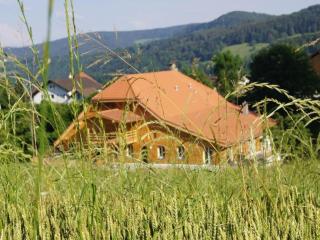 Apartment Ferme d'Alma by Interhome - 9