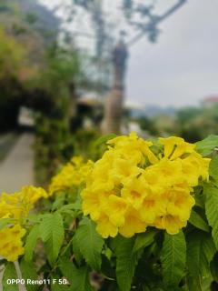 Hang Mua Eco Garden - 4