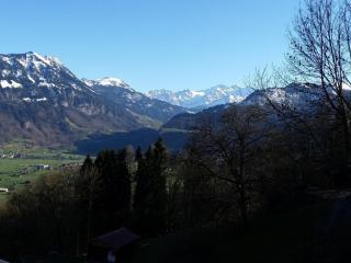 Holiday Home Chalet Hüsli by Interhome - 6