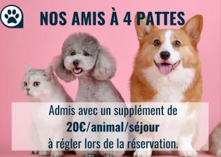 Villa Casalera - piscine, spacieuse & familiale - Dax - 8