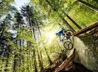 Ubytování u Pecky - 9