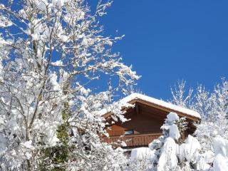 Holiday Home Chalet Traumfleck by Interhome - 4