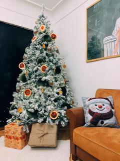 Mid-Century Modern Gem near Dry Bridge - 8