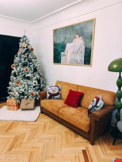 Mid-Century Modern Gem near Dry Bridge - 9