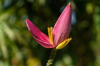 Mwanza Lake view Farm & Eco Lodge - 2