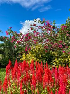 Beautiful 2BD Farmhouse for 4-10 pax - 6