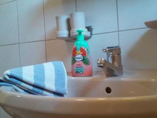 Apartment Gsenger Natur in Abtenau by Interhome - 3