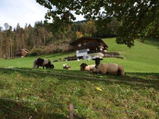 Holiday Home Sunny Hideaway by Interhome - 3