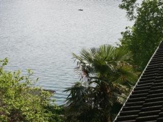 Apartment Traumstrand Vitznau by Interhome - 4