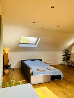 Ruime studio met eigen ingang en private badkamer - 1