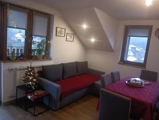 Apartman 2 RIBIČ - 9