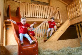 Almerhof - Waldferienhof Almer - 4