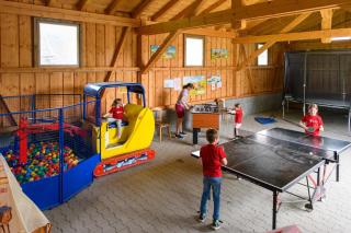 Almerhof - Waldferienhof Almer - 2