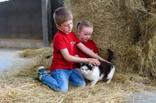 Almerhof - Waldferienhof Almer - 1