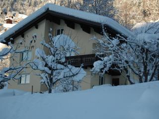 Apartment Große Wohnung in Silbertal mit Großem Garten by Interhome - 8