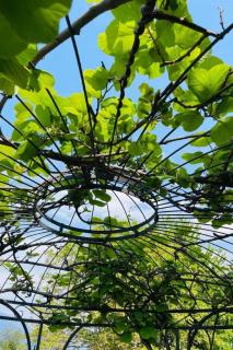 Apartment Casa Ritz by Interhome - 8