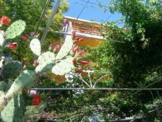 Apartment Levant Ventus Makarska by Interhome - 1