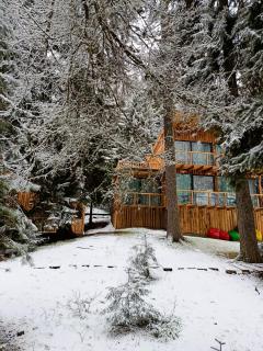 ECHIVITI Cottages in Abastumani - 0