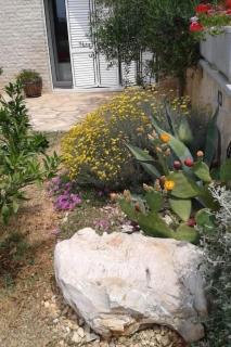 Apartment Direkt am Meer liegendes Apartment mit Garten by Interhome - 5
