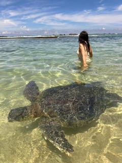 The Regent Villa - 0