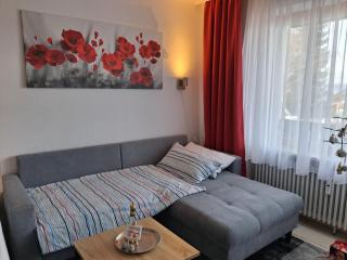 Ferienpark Oberallgäu - FeWo "Klatschmohn" Hallenbad & Sauna & WLAN - 8