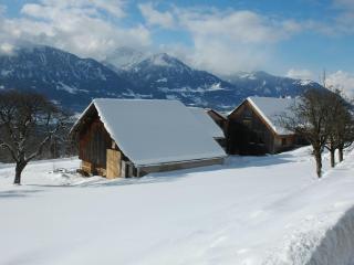 Holiday Home Dünser in Dünserberg by Interhome - 4