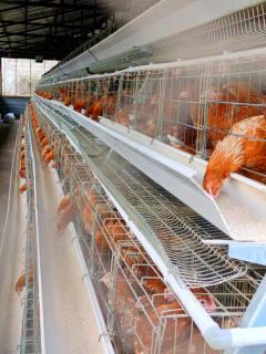 Sirimon Base Camp - 1