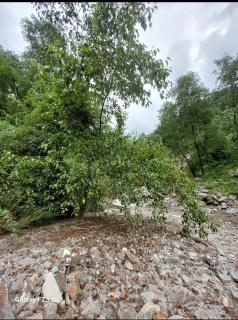 Swaranya Cabin wood cottage - 7