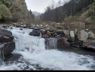 Swaranya Cabin wood cottage - 5