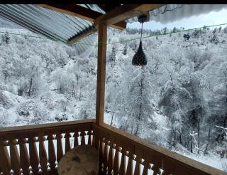 Swaranya Cabin wood cottage - 3