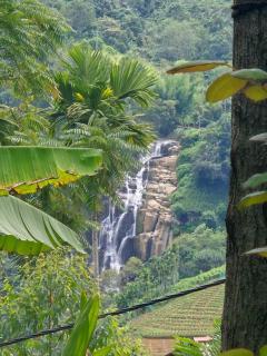 Mature Home Ella - 7