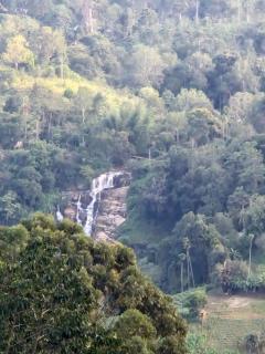 Mature Home Ella - 4