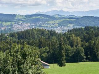 Apartment Hof Höchi by Interhome - 7