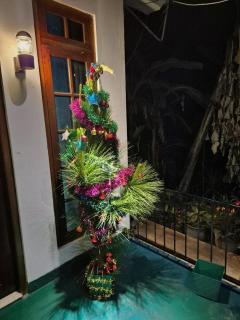 Mature Home Ella - 9