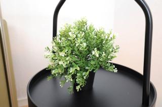 Minutes walk from Google HQ city view - 3