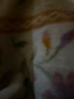 1 Bedroom Luxury Apartment at Gold crest Mall - 4