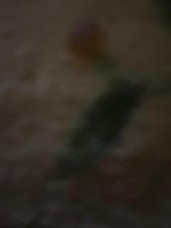 1 Bedroom Luxury Apartment at Gold crest Mall - 3