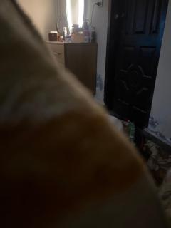 1 Bedroom Luxury Apartment at Gold crest Mall - 2