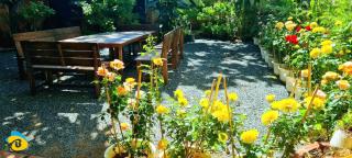 Homesray & Camping Phan Thiet Beach - 3