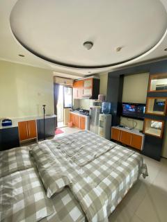 Gateway cicadas by aleshaproperty - 6