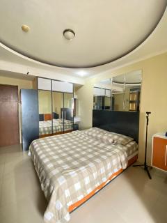 Gateway cicadas by aleshaproperty - 5