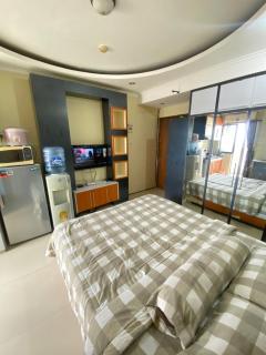 Gateway cicadas by aleshaproperty - 4