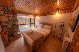 Abant Zümrüt Dağ Evi - 6