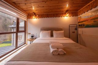 Abant Zümrüt Dağ Evi - 2