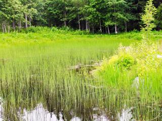 9 person holiday home in KÄLARNE - 5