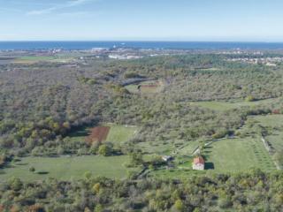 Holiday Home Das Haus im Wald by Interhome - 9