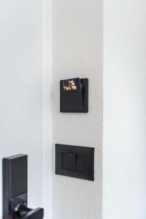 Bliss by PikHost - 3